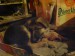 DSC00670.JPG