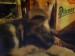 DSC00672.JPG