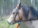 DSC00649.JPG