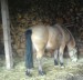 DSC00806.JPG