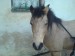 DSC00810.JPG
