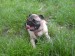 DSC00259.JPG